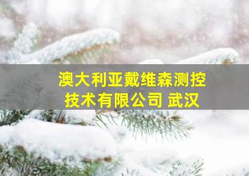 澳大利亚戴维森测控技术有限公司 武汉